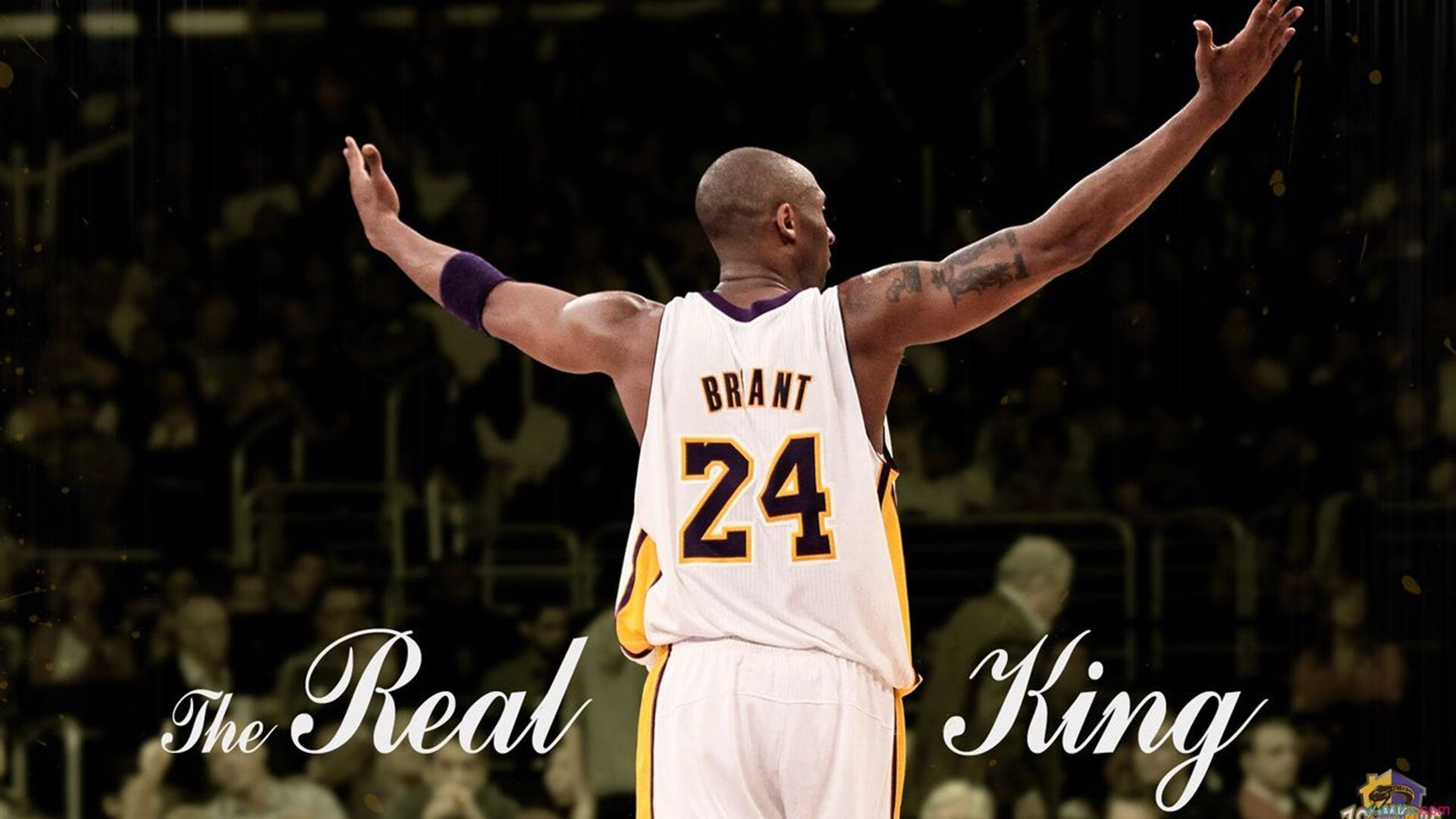 24小时疯狂追逐:夜色中WRC激烈追赶赛场实录,24小时疯狂歌曲